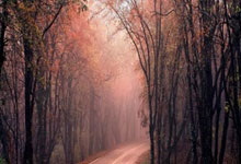 疲惫焦虑、厌学拒学……如何帮孩子击退“开学综合征”?.