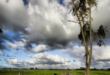 东方体育：2025年“全国网络普法行”启动仪式在贵阳举行.